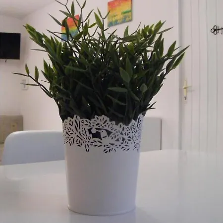 Apartment Fortuna *