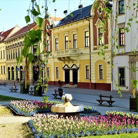 Apartment Fortuna